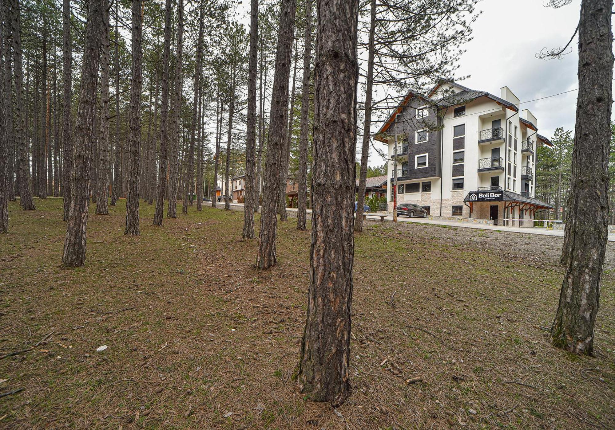 Aparthotel Beli Bor Zlatibor Extérieur photo